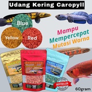 MERAH Red Shrimp | Shrimp biru | Yellow shrimp| Fish Food | Carophyll shrimp fish food