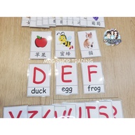 [MsgShop] Flash Card Alphabet English+Chinese