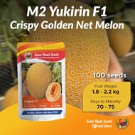 [100 Seeds] M2 Benih Melon Yukirin Soon Huat Seeds