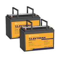【2 PACK 】Gentai Power 12V 100Ah LiFePO4 Lithium Battery REPT Grade A+ Cell  6000+Cycles 1280Wh Lithi