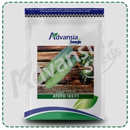 Biji benih timun Cucumber seed 青瓜黄瓜种子 ATOTO 生多多 103 F1 Timun 600 seedds Advansia (20 g)