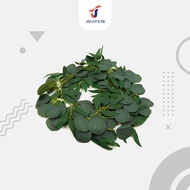 [สินค้า Clearance] Artificial eucalyptus leaves เถาใบไม้ปลอม ยาว 2m