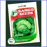 ¤ ✢ ◭ Ramgo Lettuce Iceberg Seeds