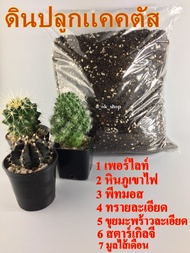 (1 กิโลกรัม) ดินปลูกแคคตัส ดินปลูกกระบองเพชร ดินปลูกไม้อวบน้ำ cactus โปร่ง เร่งดอก รากเดินดี ดินพร้อมปลูก ดินปลูกแคตตัส