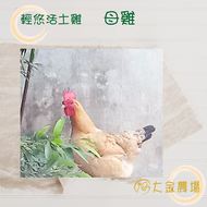 【大金農場】 輕悠活萌虻土雞 - 母雞．非籠飼．全雞．剁塊半隻真空包裝