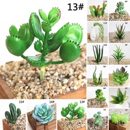 EVER@Artificial Plastic Succulent Plant