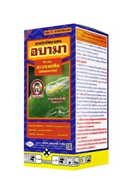 ยาฆ่าแมลง อบามา ขนาด 100 ซีซี อะบาเมกติน (abamectin) 1.8%EC อะบา เพลี้ยไฟ เพลี้ยอ่อน เพลี้ยไก่แจ้ เพลี้ยจักจั่นฝ้าย เพลี้ยจักจั่นมะม่วง หนอนชอน