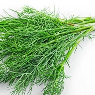 DILL•HERB•200 BIJI BENIH•SEED•