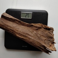 Kayu Damar Minyak Rare
