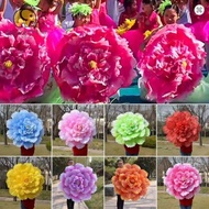 LONNGUVO Dance Props Flower, 30/40/50cm Hand held Peony Dance Performance Props, DIY Handmade Dance 