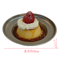 Phong Cách Hàn Quốc Industrial Ins Hình Tròn Đĩa Tráng Miệng Bằng Thép Không Gỉ Đĩa Salad Trái Cây Đ