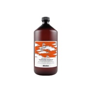 Davines Naturaltech Energizing Shampoo