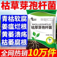 Compound Bacillus Subtilis Fertilizer Green Ecological Organic Planting Disease-Resistant Bactericide for Agricultural F