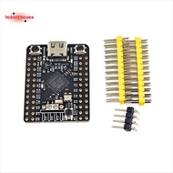 WeAct STM32G431CBU6 STM32G431 STM32G4 STM32 Core Board Demo Board