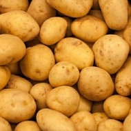 UBI KENTANG 500G | 1KG