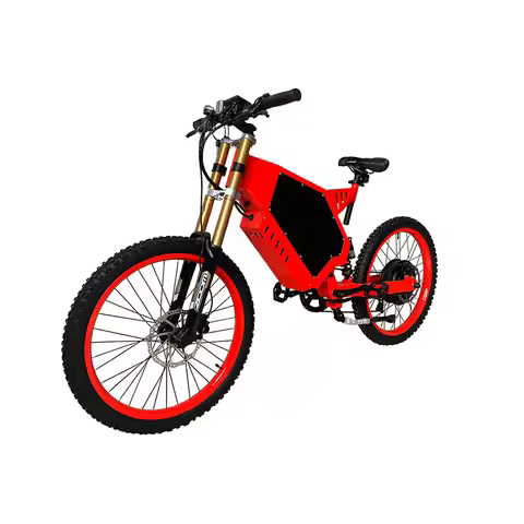 26 Inch Mountain Tyre Electric Bicycles Electric Dirt Bike E Bicycle Conversion Kit Ebike Motorcycle