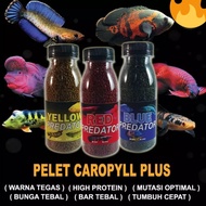 Chana premium blue yellow red carophyll fish pellets / chana pellets / chana fish pellets / fish pel