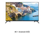 TECO東元4K+Google TV 55型液晶顯示器 TL55GU1TRE Android11.0