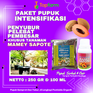 Pupuk Buah Mamey Sapote / Pupuk Buah Khusus Mamey Sapote / Pupuk Booster Mamey Sapote / Pupuk Pembes
