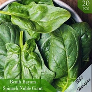 Benih Bibit Biji Sayur Bayam Jepang Spinach Noble Giant Sayuran Import