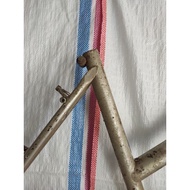 Lady Bike frame federal model No Brand silver Color 24-wheel