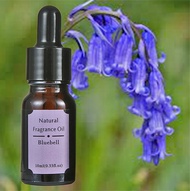 minyak atsiri aroma therapy bunga lonceng biru blue bell essential oil