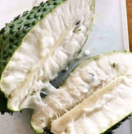 BUAH SIRSAK MATANG POHON PER BUAH