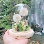 彼岸祝福 永生蒲公英玻璃花盅 選購LED原木底座