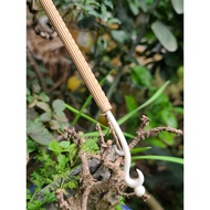 Retractable bridge head, cricket leg, Vip bone bridge for Khuyen cage size 22
