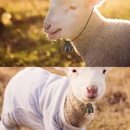 Goat Bell Cow Bell Dog Bell Goat Neck Bell Sheep Bell Cow Bell Dog Bell 38mm Farm Animal Bell