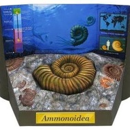DIY Dinosaur Papercraft - Ammonite Fossil