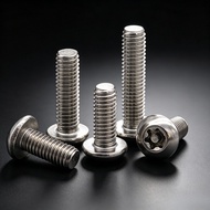 304 Stainless Steel Plate Head/Round Head with Needle Torx Screw M3M4M5M6