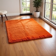 Rasfur fur carpet size 180X160X3.5CM LP