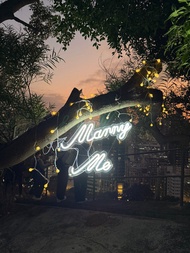 Marry me牌連燈串