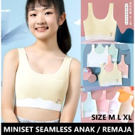 HIJAU 3819 miniset bra seamless singlet without wire tangtop for teenage girls original import eleme