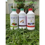 EM1 (1 litre) + Molasses (1 litre) + EMPB (1 litre)