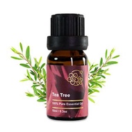 Amour 精油 - Tea Tree Essential Oil - 茶樹 10ml - 100% Pure