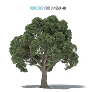 3DQUAKERS - Forester v1.4.9 + Expansion Pack1 v1.1.9 For C4D R23 [Win x64] [13/1/2021]