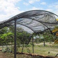 DRYNET - Garden Net - 6 meters x 8 feet