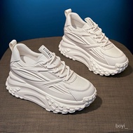 Daddy Shoes Women Casual Sports Small 8cm Heightening 2023 Summer Thick-Soled Mesh Breathable Versat