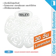 WALEX Bravo Urinal Screens - Lavender - ดับกลิ่นโถปัสสาวะชายเป็นเวลายาวถึง 30 วัน