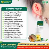 Propolis Obat Telinga Berair Dan Bau - Telinga Tersumbat Berdengung Berdenging Terasa Budeg Conge Te