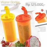 Tupperware water bottle 650ml