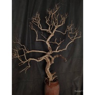 Decorative Tree Roots Fake Wishing Tree Trunk Shaped Branches Branches Dried Branches Dried Overlord