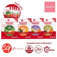 SG Homemade  Berry Quick Porridge, 5pks (4 Flavours) / Baby Instant Food (SGHomemade)