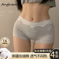 Angharad Women's Cotton Antibacterial Seamless Lace Brief Set