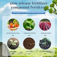 WaterWheel Home Gardening Universal Slow-Release Tablet Organic-Fertilizer Plant Growth Nutrition Tablets