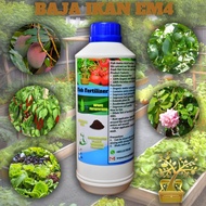 BAJA IKAN 1 LITER UNTUK PERTANIAN #EM4 /FISH AMINO ACIDS (FAA)