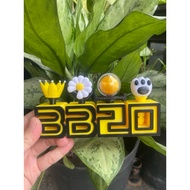 Bigbang's 20th Anniversary mini Lightstick