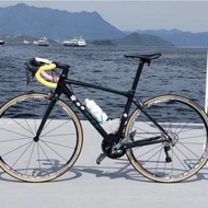 急走giant TCR SLR 公路車 跟 fulcrum r...